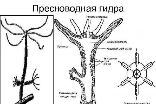 Ссылки на кракен блэкспрут