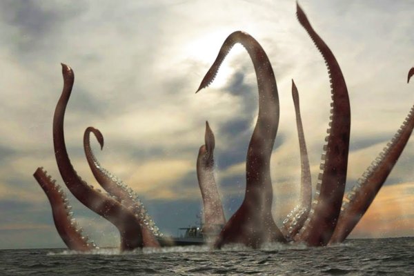 Kraken смылка